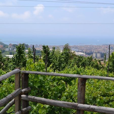 B&B Green Valley Σαλέρνο Εξωτερικό φωτογραφία