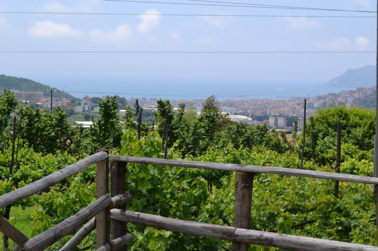 B&B Green Valley Σαλέρνο Εξωτερικό φωτογραφία
